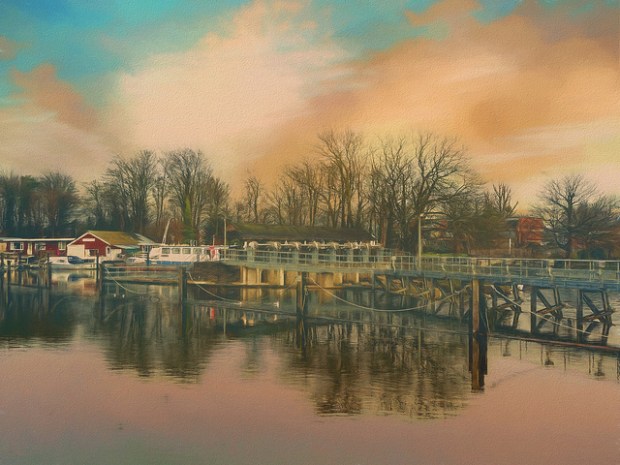 46881251181_5d33932d6f_z (4).jpg