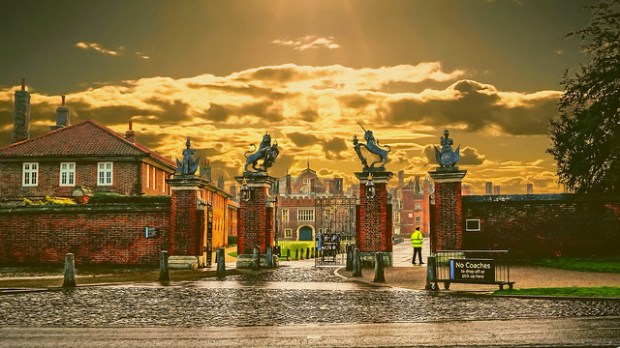 32161497097_9b6e029f44_z (2).jpg