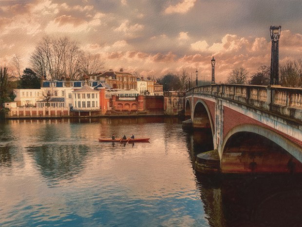 46203230124_5e16744d98_z (4).jpg