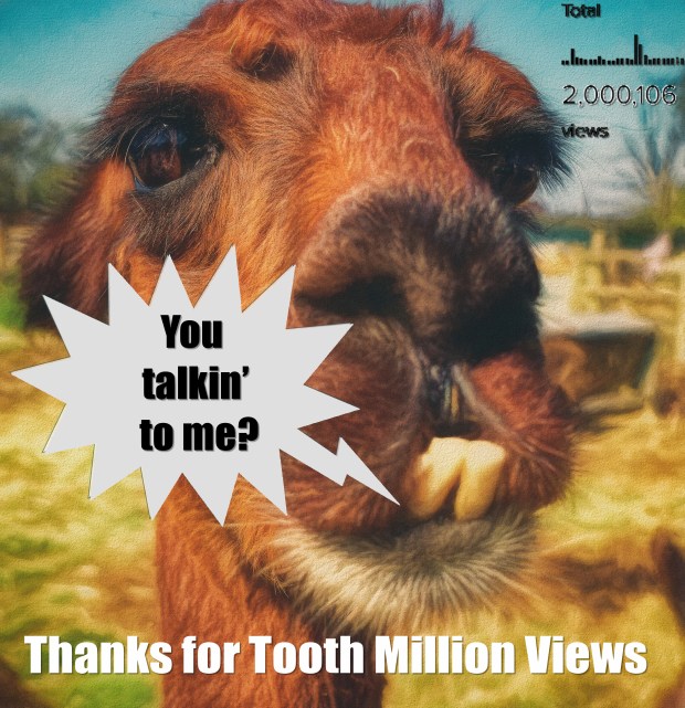 tooth million views thanks.jpg