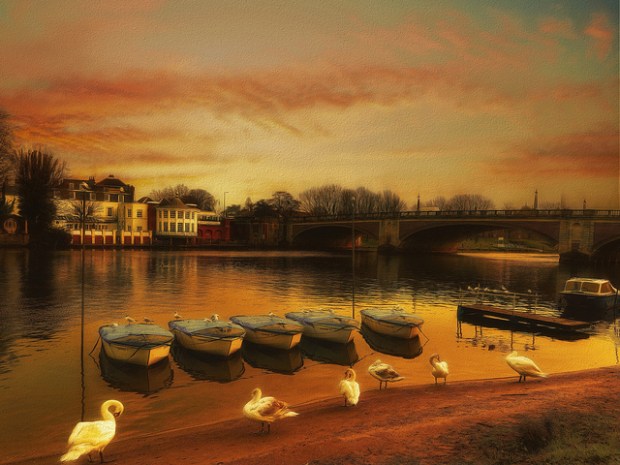 46547217764_e5a67ac3af_z