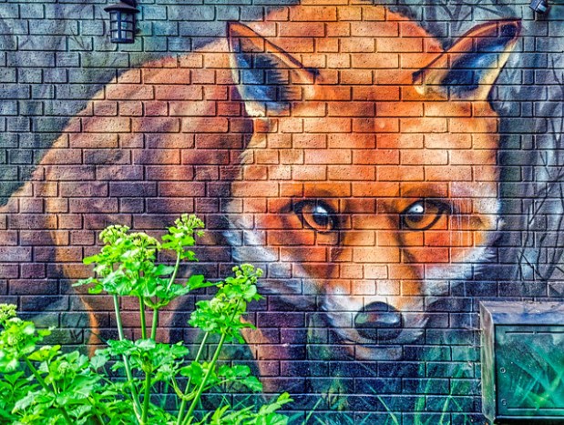 32586590047_2ccd6ef49a_z (1).jpg