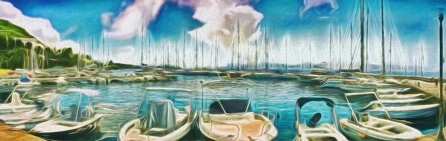 29994610618_95e360bfcf_z (1)