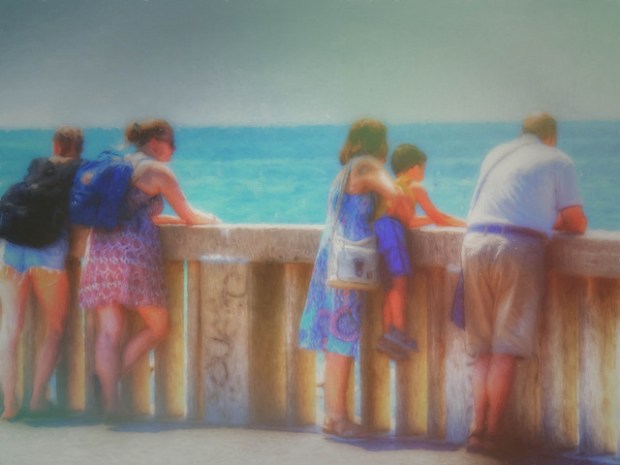 36121816826_8d43055a79_z