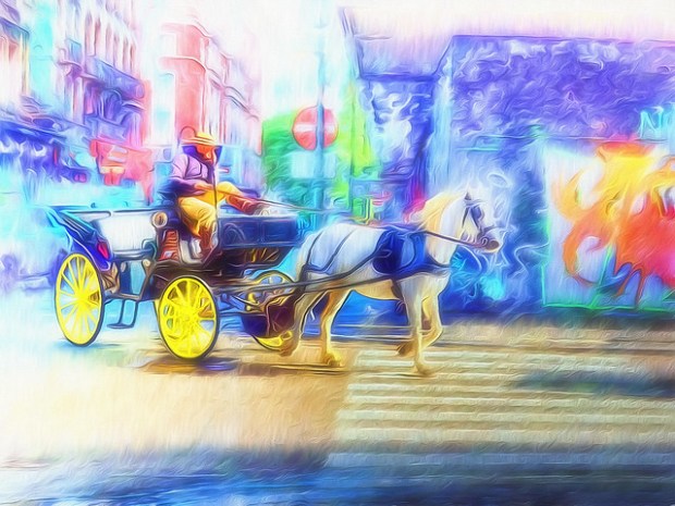 37104765802_72b736b98c_z