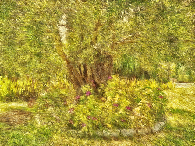 41829150160_48bfe852a8_z (1)