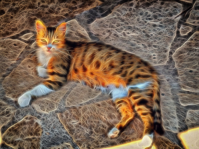 43357907151_3ce078385c_z