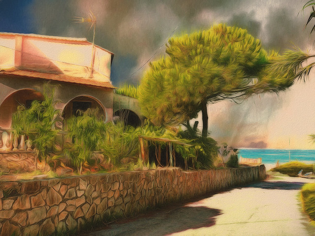 44499613700_3ebf41f115_z (1)