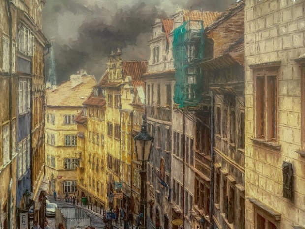 46905546432_ef2b386fdc_z