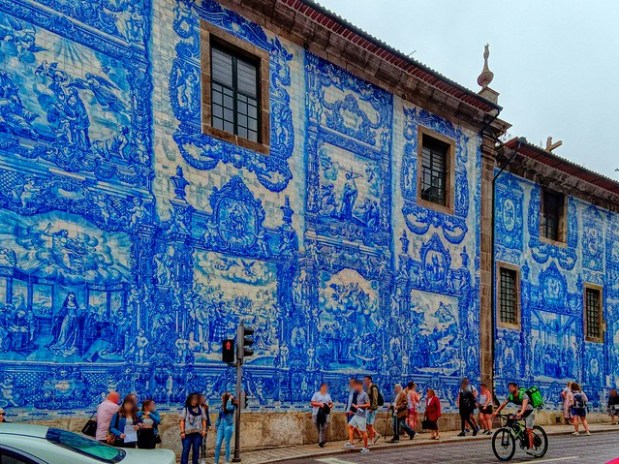 48223148766_400161dc9b_z