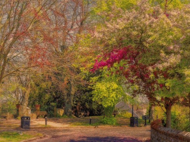 48558322997_5a5bbb254c_z