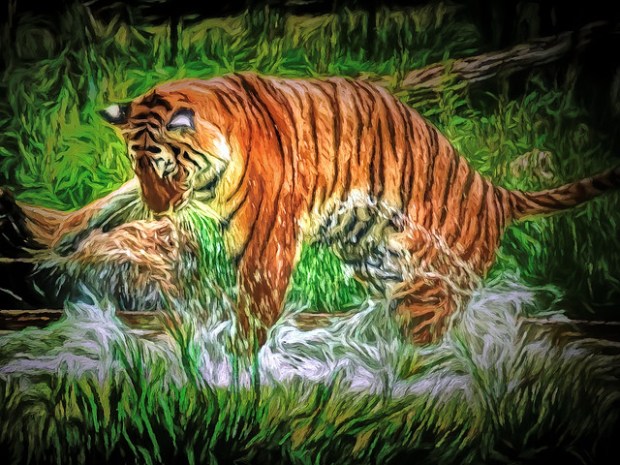 48653391117_399999ffbf_z (1).jpg