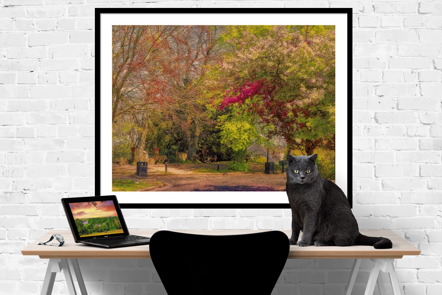 pretty-country-lane (1)