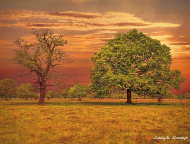 neighbours_48575297756_o