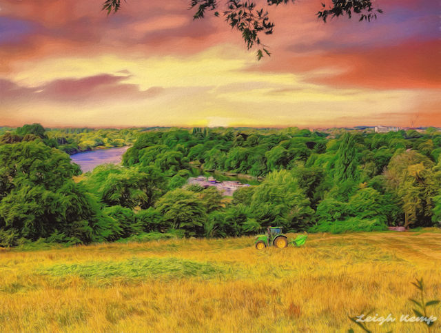 petersham-landscape_48529714967_o