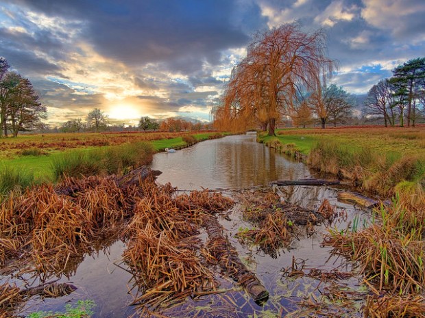 49369058701_3530b2c0fa_z