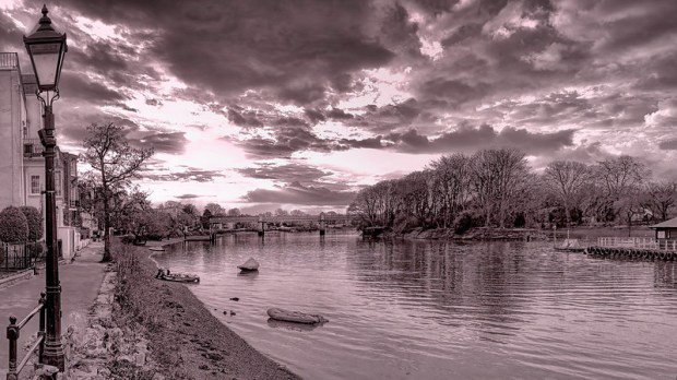 49430286501_41e80d575f_c