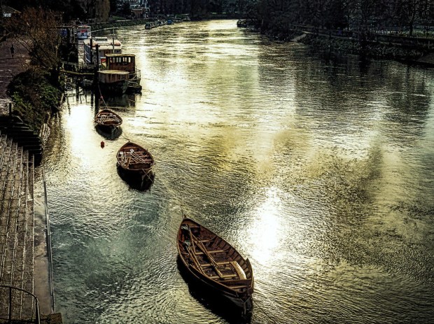 49454270177_0f6ebcf6c7_c