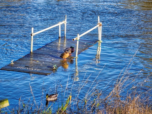 49464951161_c7d7a8b952_c