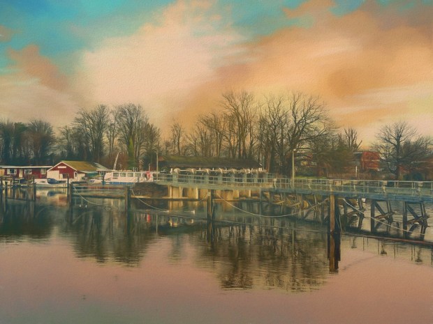 46881251181_5d33932d6f_c