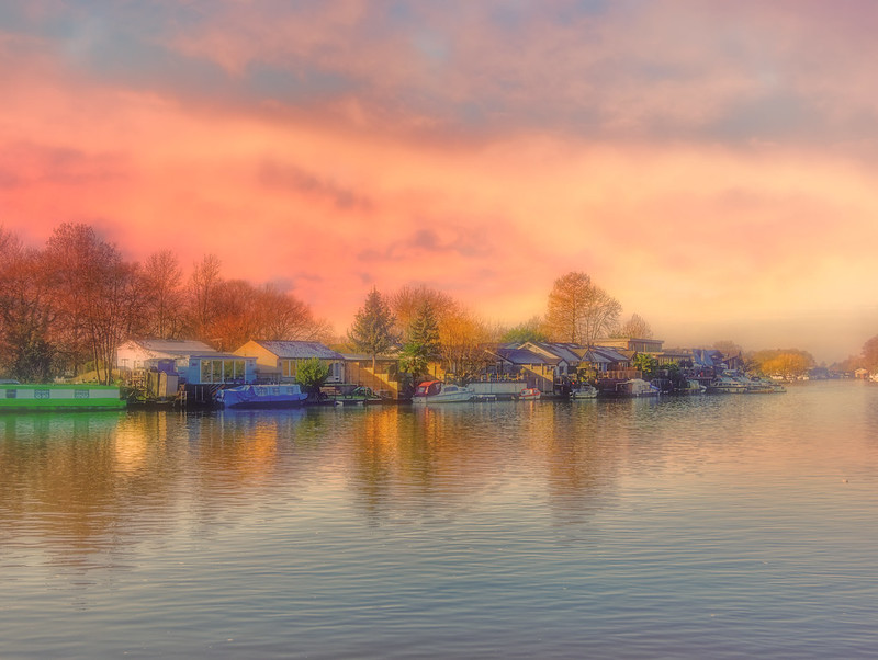 49515017356_ac48036e23_c