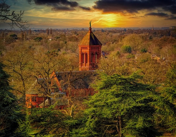 49553608922_b0eaee8d64_c