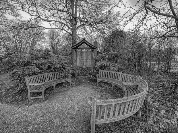 49555968482_99b8c2f6b7_c