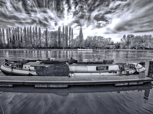 49560572827_b1a8d68a41_c (1).jpg