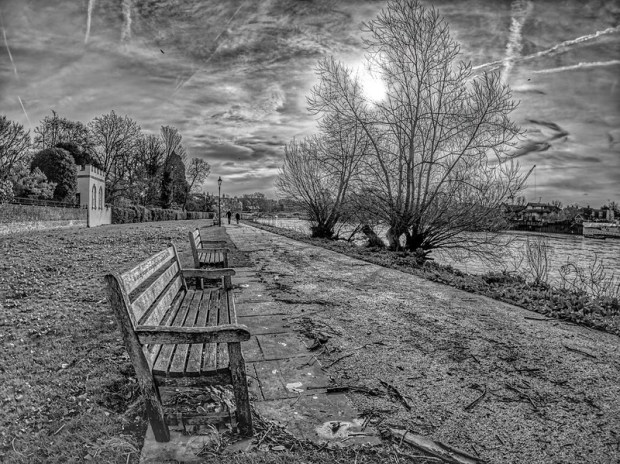 49575849472_b89f67d239_c (1).jpg