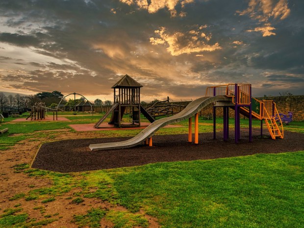 49678241408_7151b24819_c