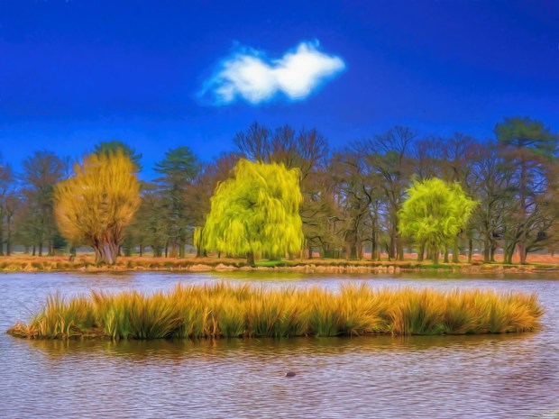 49679691972_ed73a3813d_c