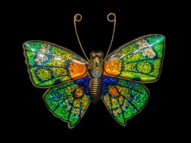 49904462927_ca2242f21d_c