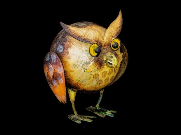 49907733928_023041fab4_c