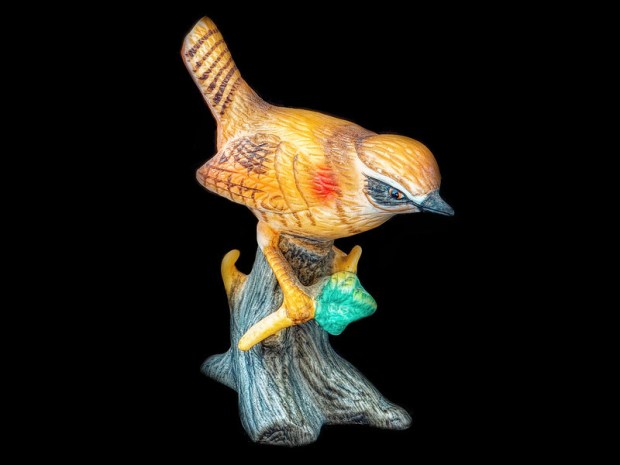 49912488641_93ea6caa1a_c