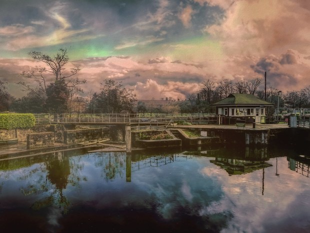 39960899283_fb3f7e9a62_c