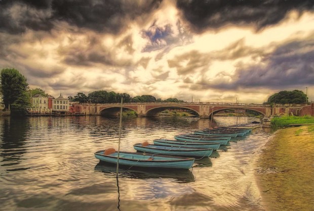 48431361396_9e5030abe0_c