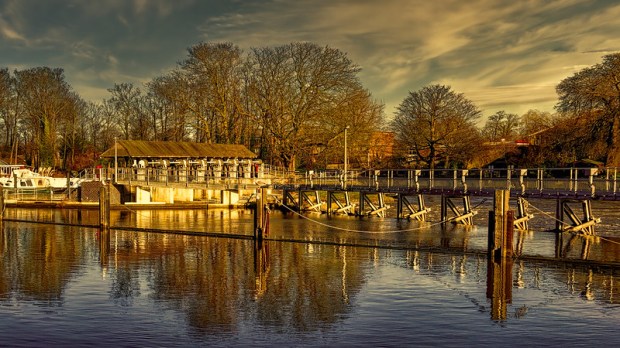 49459011693_ef73af889a_c