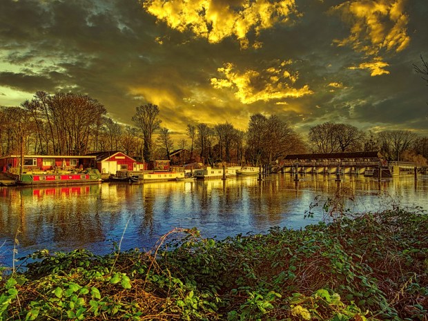 49461134496_deb9ec2a98_c