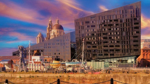 49654937111_7e33abf56a_c