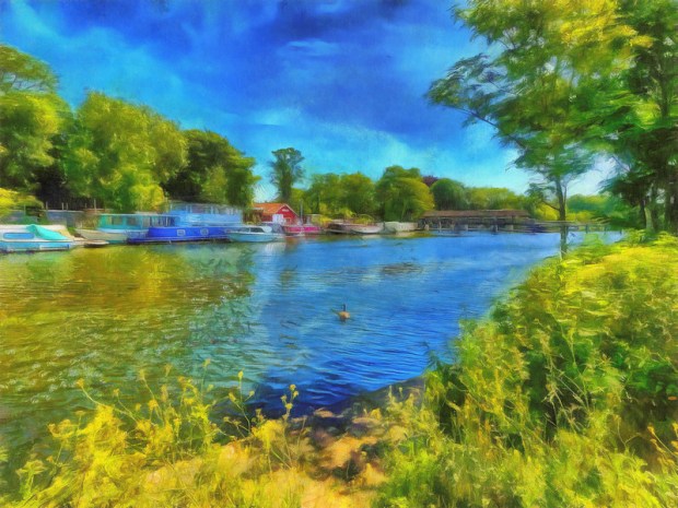 49964283806_78e46141fb_c