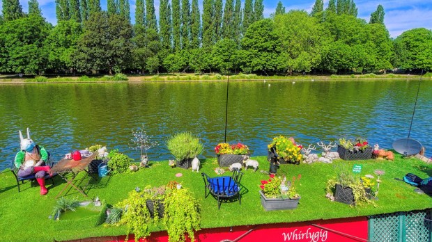 49984548987_3583cc01d4_c