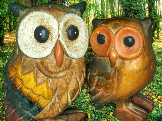 49990882168_1c90c0a8cf_c