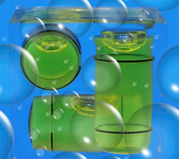 49998491558_ff599192ee_c