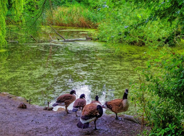 50019212787_80b450a2d6_c