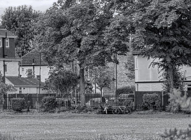 50024811113_046f037c07_c