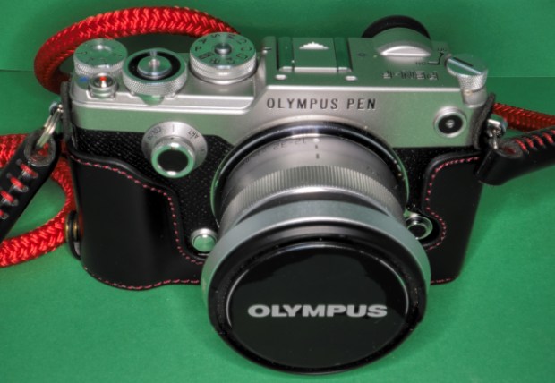 PEN-F with half case for blog