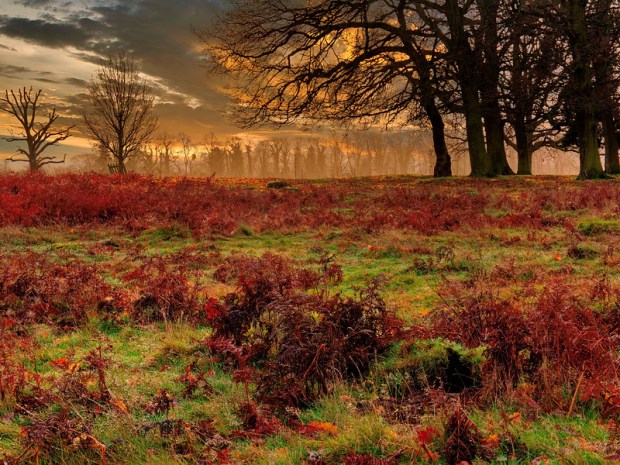 49368267641_438f55115b_c