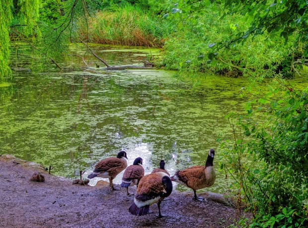 50019212787_63fe39c225_c (1)