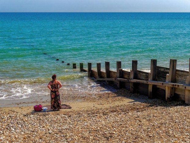 50039713111_187d41d3f9_c