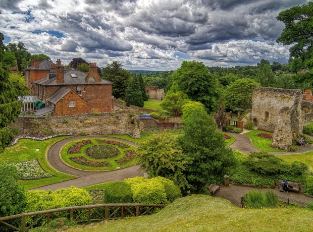 50055304706_6812c38148_c (2)